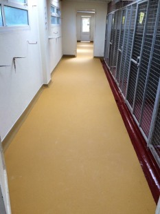 Archway boarding kennels 2025